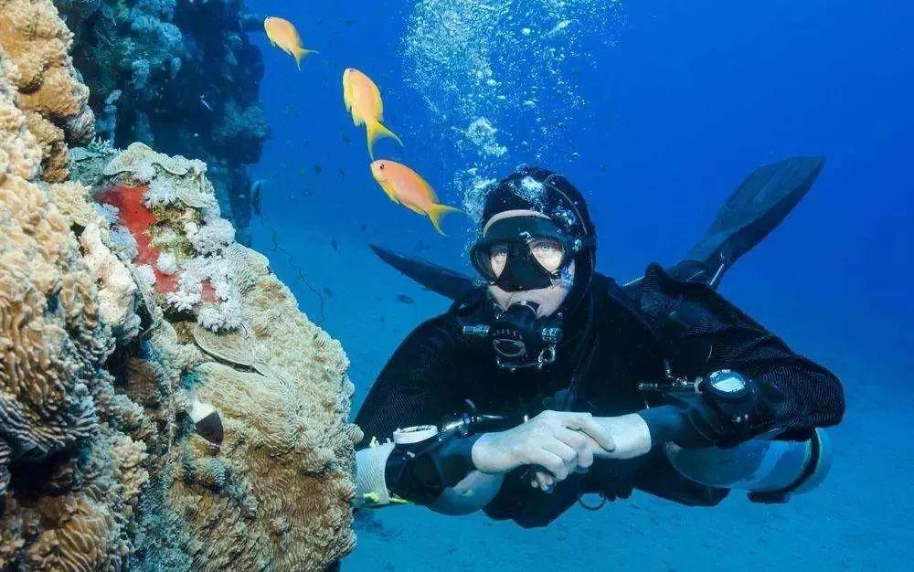 逃出海滩度假胜地
