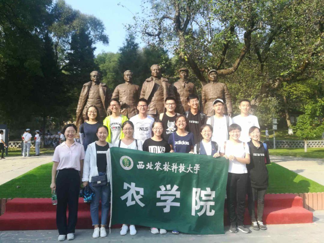 夏季如何避暑？游戏画面