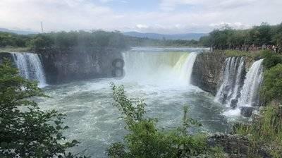 泡沫森林