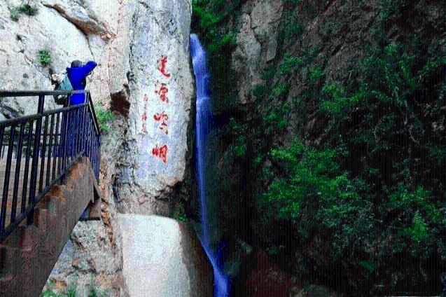 逃离森林湖畔