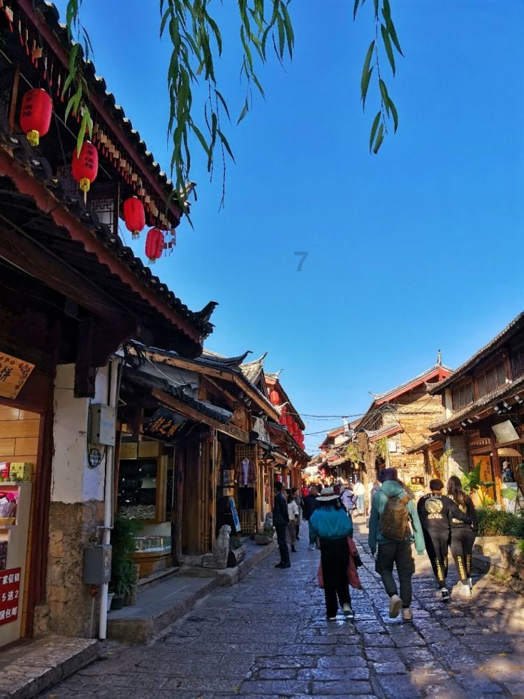 逃离大犀牛出没地