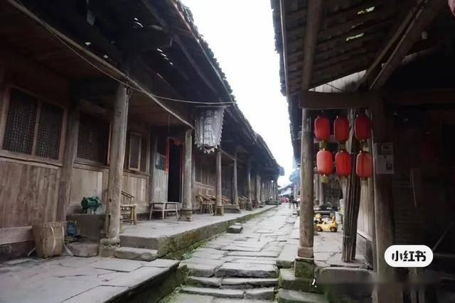 （新春走基层）福建周宁：“花”样致富路 助力乡村振兴