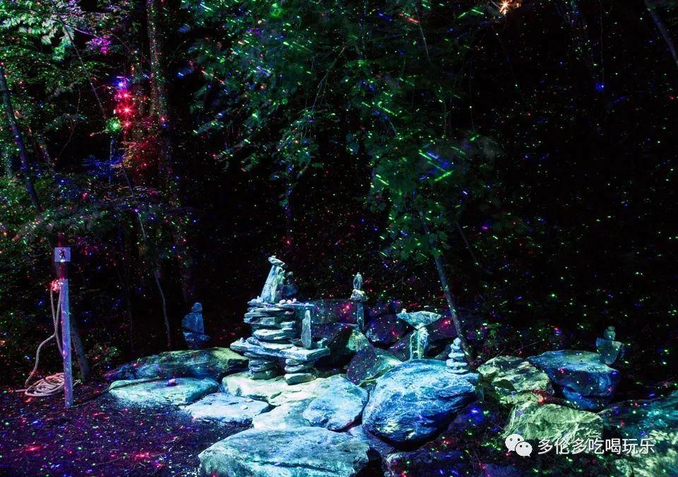 拯救红松鼠
