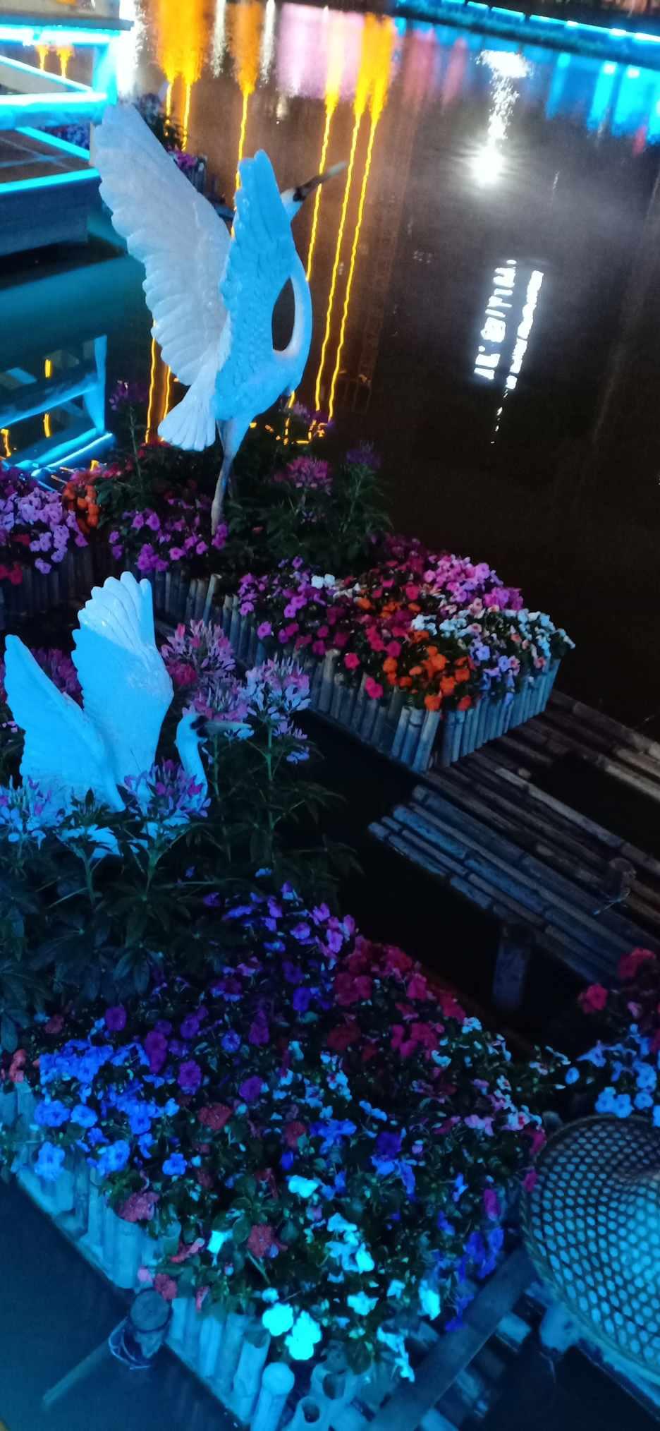 逗小猴开心系列202